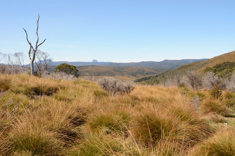 Cradle Mountain