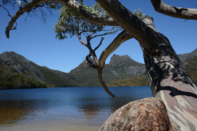 Lake Dove Lake Dove