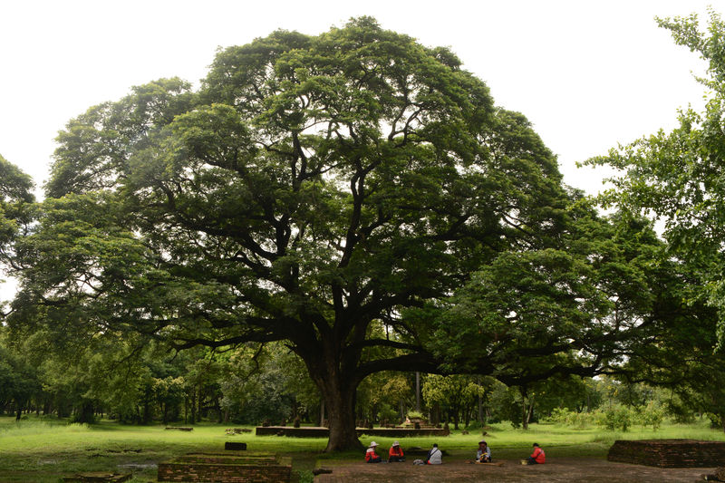 Im 'Historical Park' von  Sukhothai