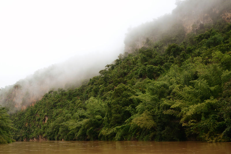 Morgenstimmung am River Kwae