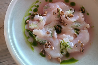 Halibut ceviche