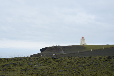 Auf dem Felsen Dyrhólaey