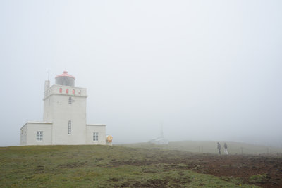 Auf dem Felsen Dyrhólaey