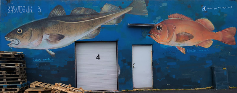 Hauswand in Keflavík