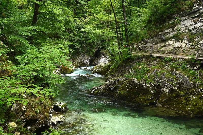 In der Vintgar-Schlucht